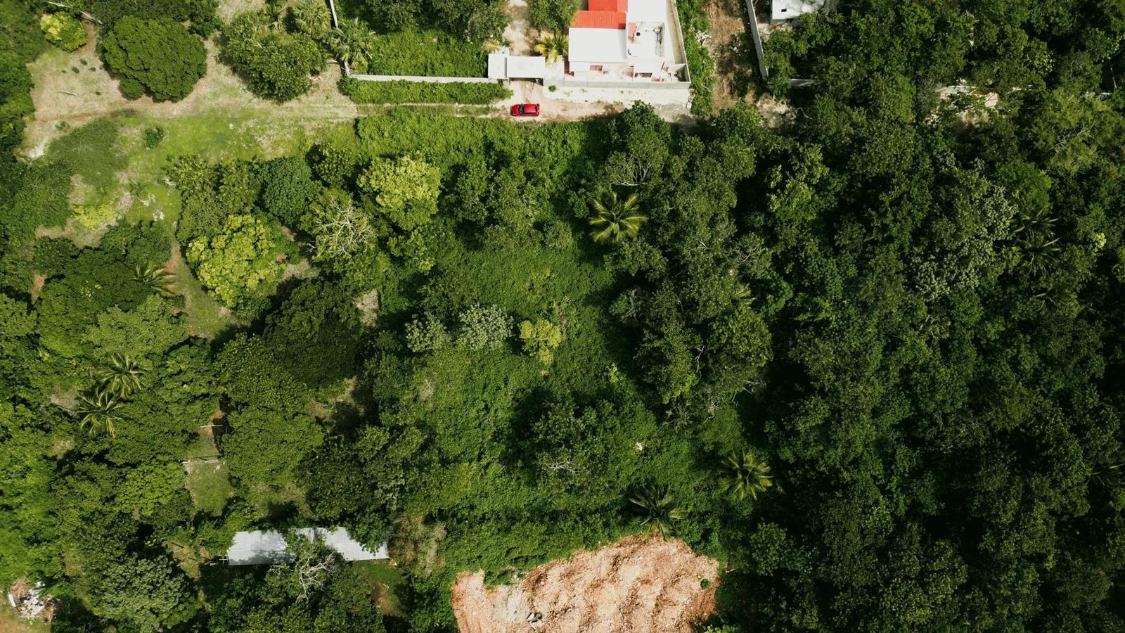 Vista aérea de los Terrenos Wizapool en Bacalar — 3